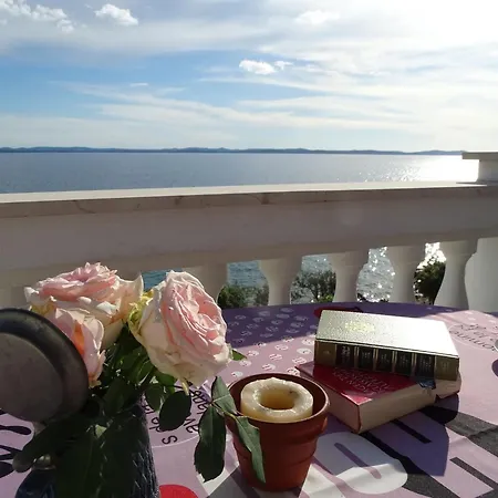 Apartment Vlahov *