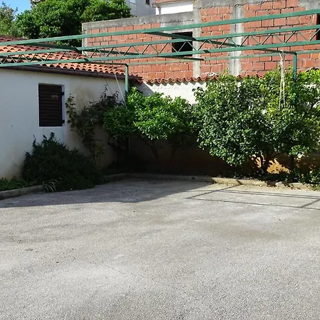 Vlahov *