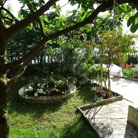 Vlahov Apartment